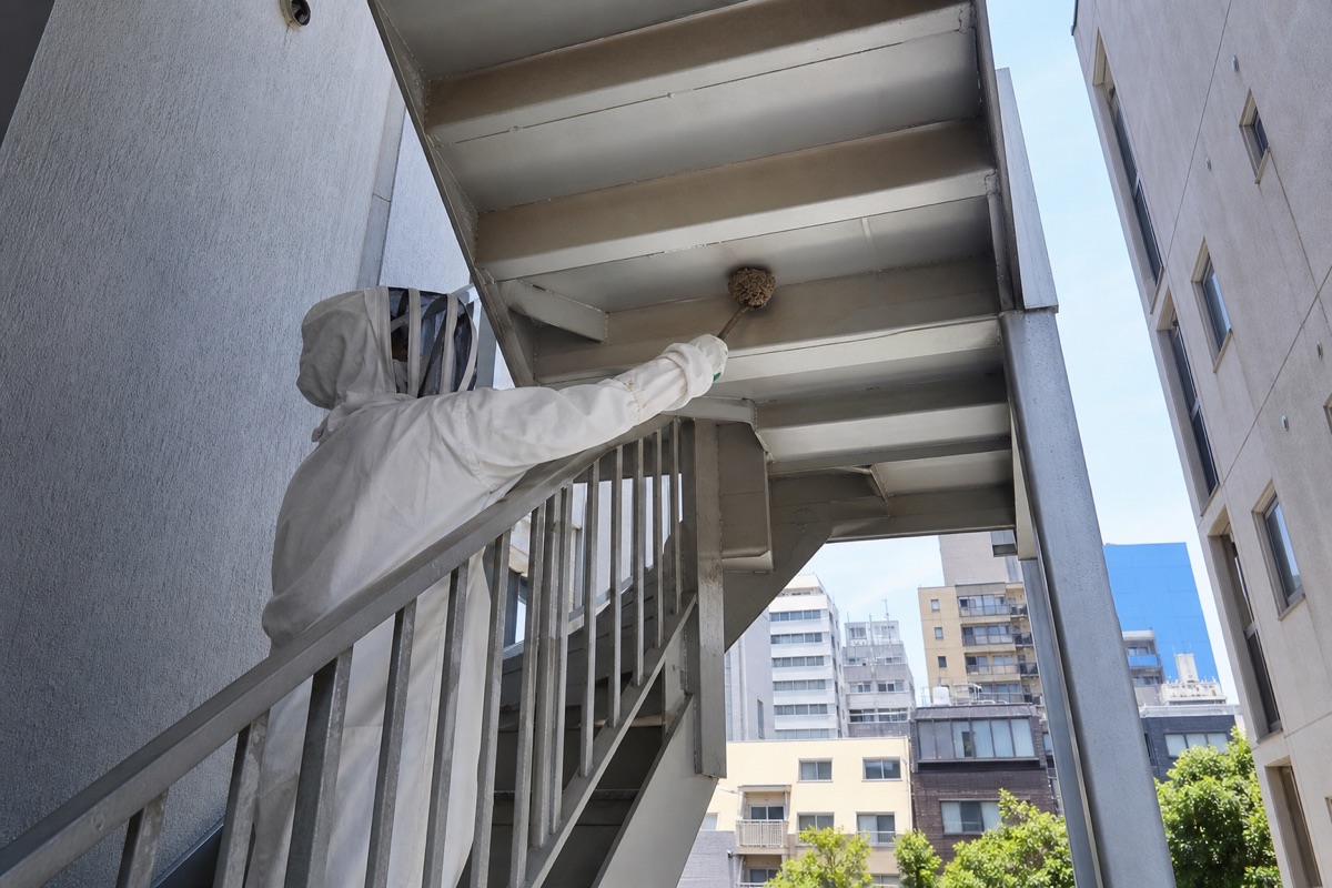 名古屋市中区錦のアパートでアシナガバチ駆除作業中