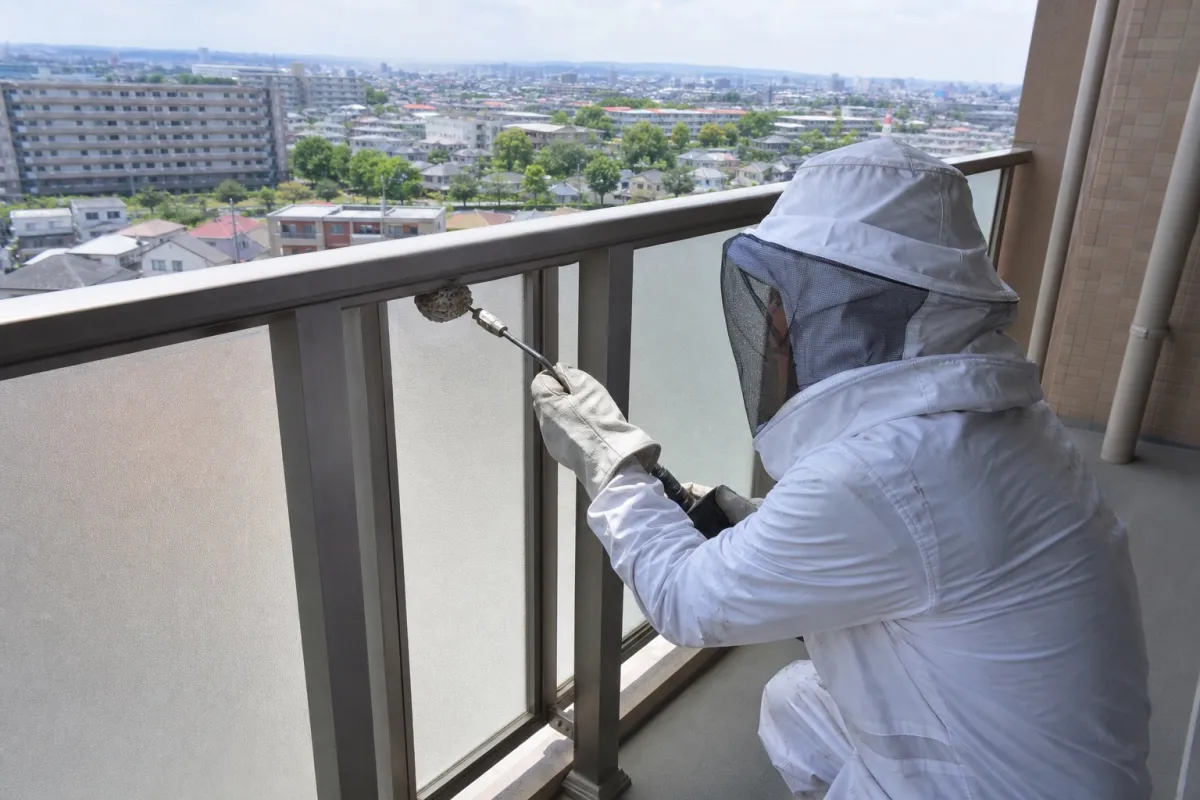 名古屋市中区新栄町のアシナガバチ駆除作業中