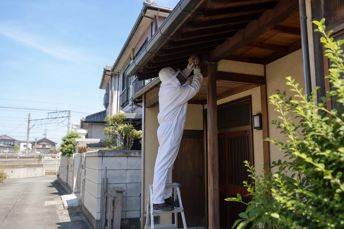 名古屋市中川区富田の住宅街でスズメバチ駆除作業中