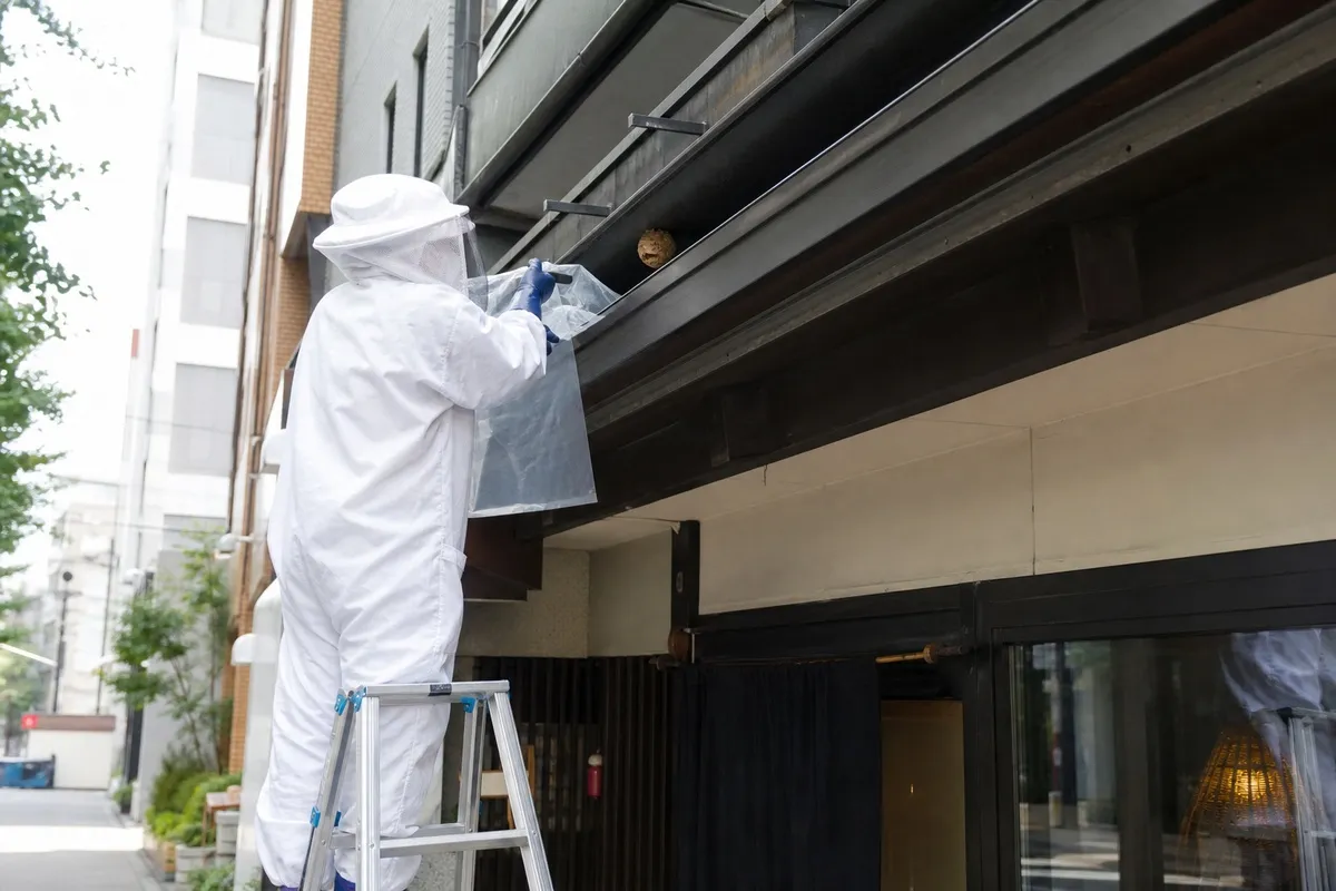名古屋市中川区尾頭橋の商店街店舗でキイロスズメバチ駆除作業中