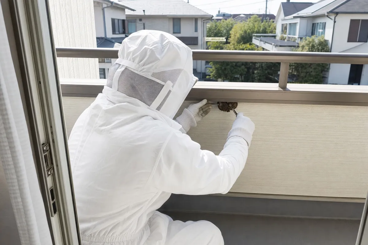 名古屋市中川区小碓の分譲住宅でアシナガバチ駆除作業中