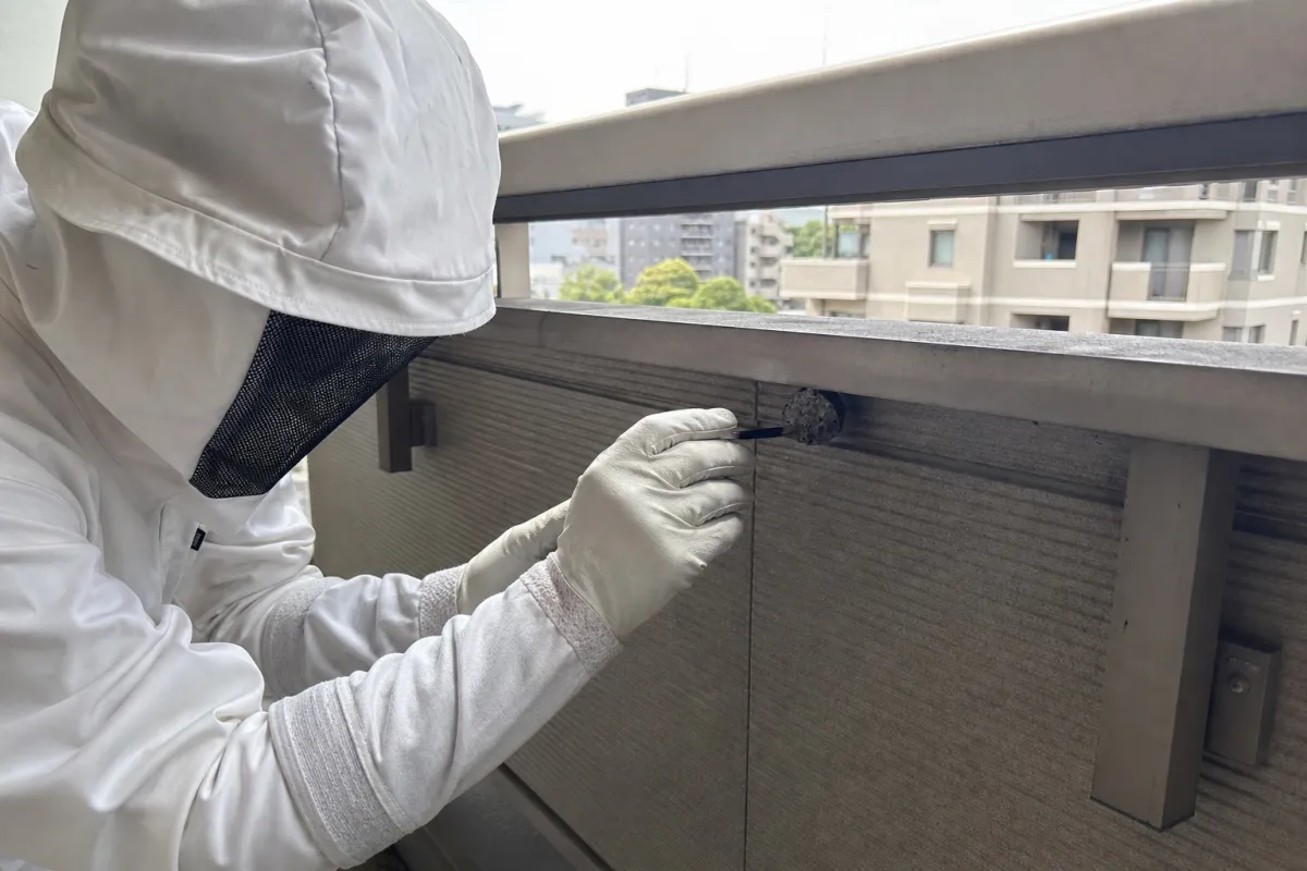 名古屋市中川区高畑のアシナガバチ駆除作業中