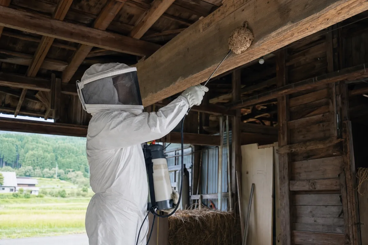 名古屋市中川区服部のオオスズメバチ駆除作業中