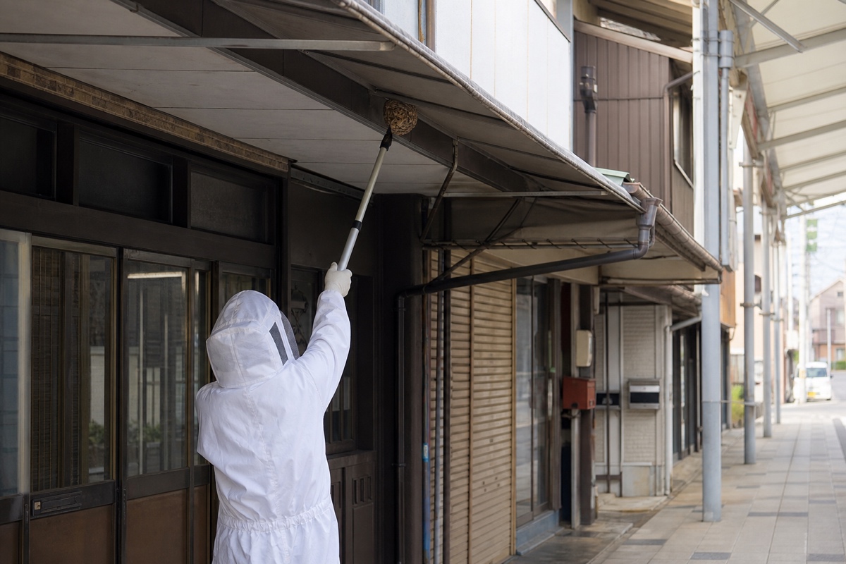 名古屋市中村区太閤の飲食店併用住宅でスズメバチ駆除作業中