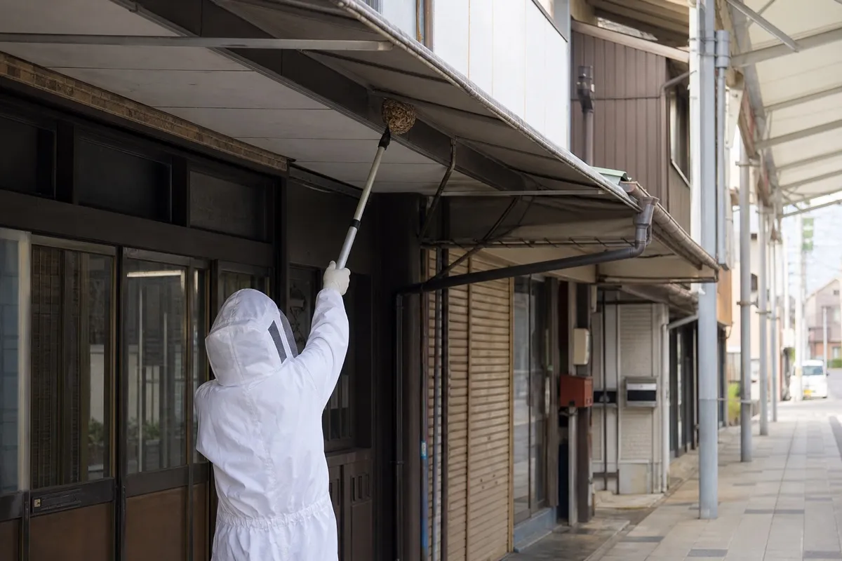 名古屋市中村区太閤の飲食店併用住宅でスズメバチ駆除作業中
