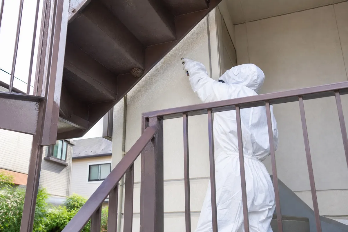 名古屋市中村区鴨付町のアパートでアシナガバチ駆除作業中