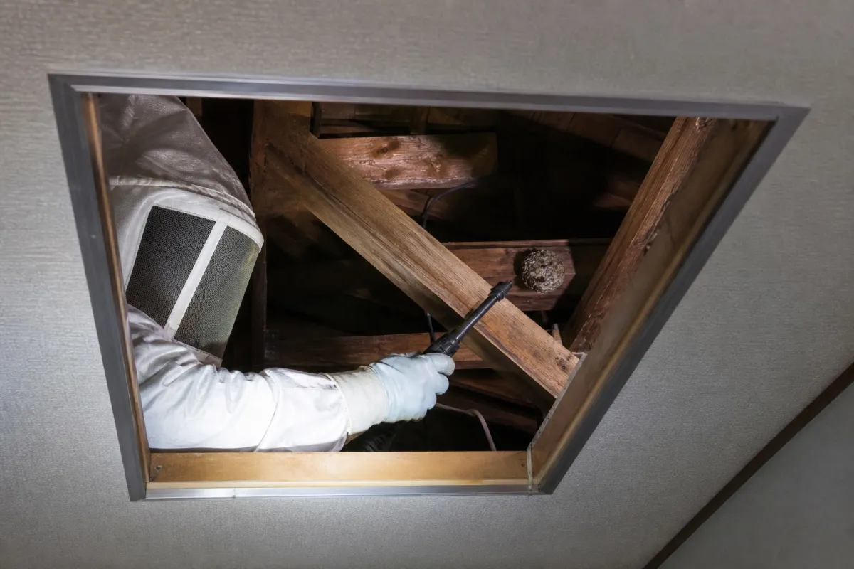 名古屋市中村区鳥居通のキイロスズメバチ駆除作業中