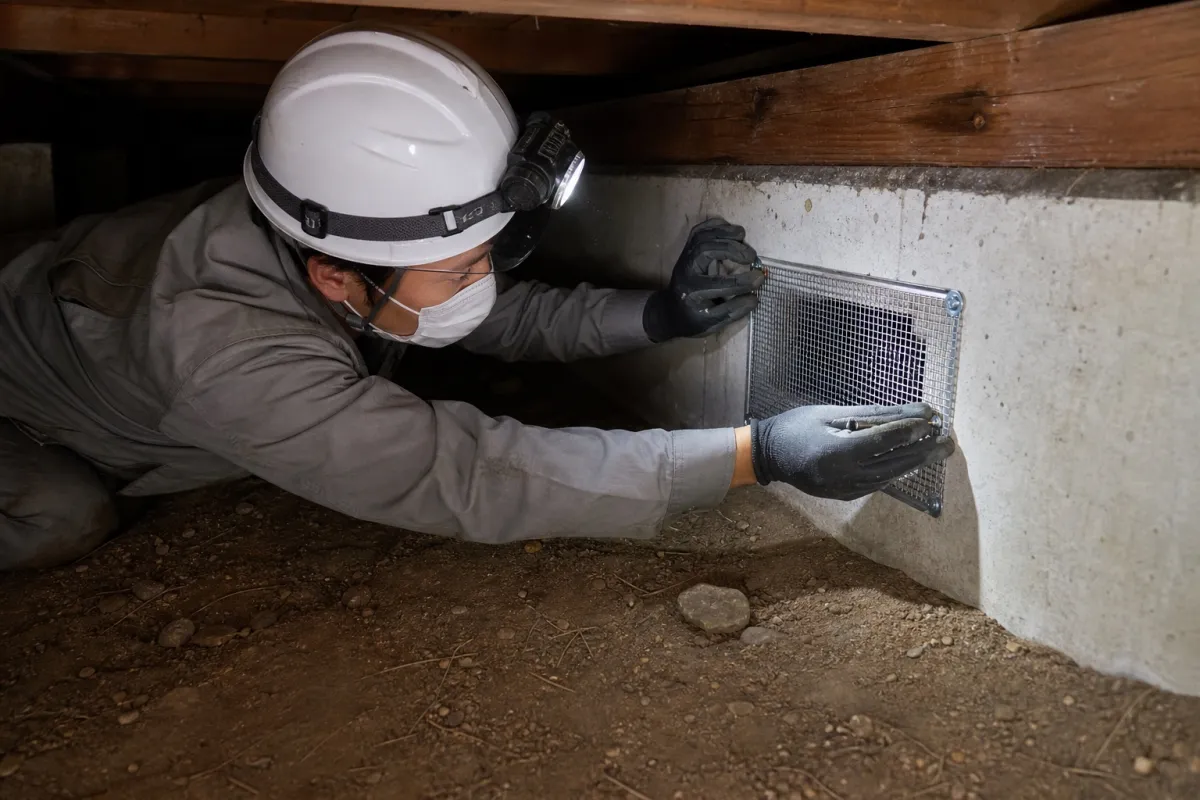 名古屋市名古屋市瑞穂区のドブネズミ駆除（床下・基礎の隙間）作業