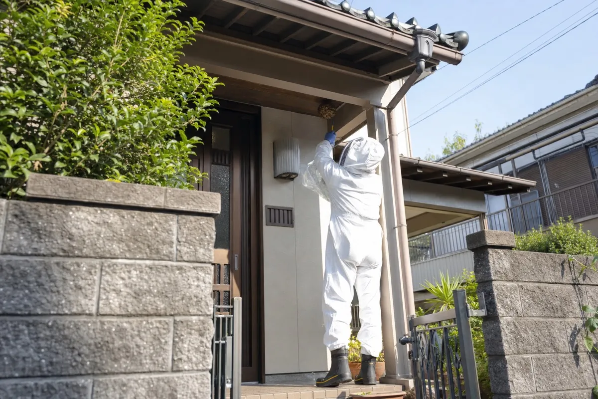 名古屋市西区栄生の一戸建てでキイロスズメバチ駆除作業中