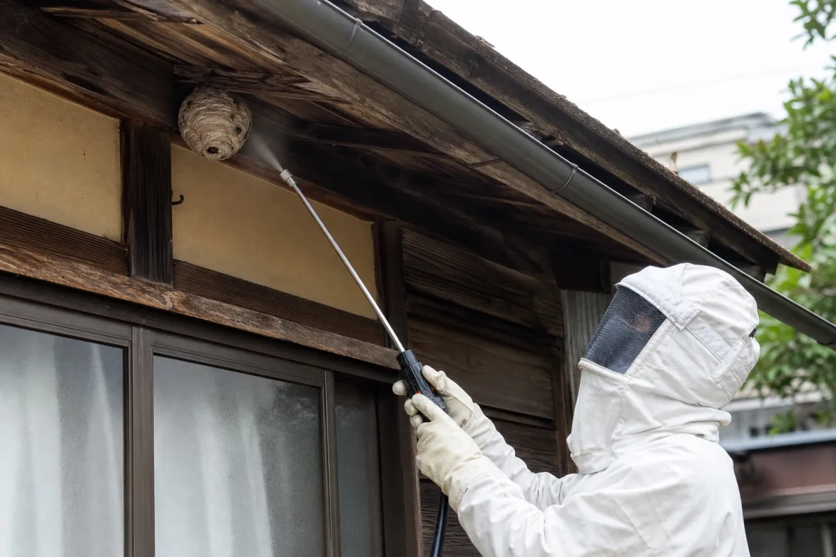 名古屋市西区江向町のスズメバチ駆除作業中