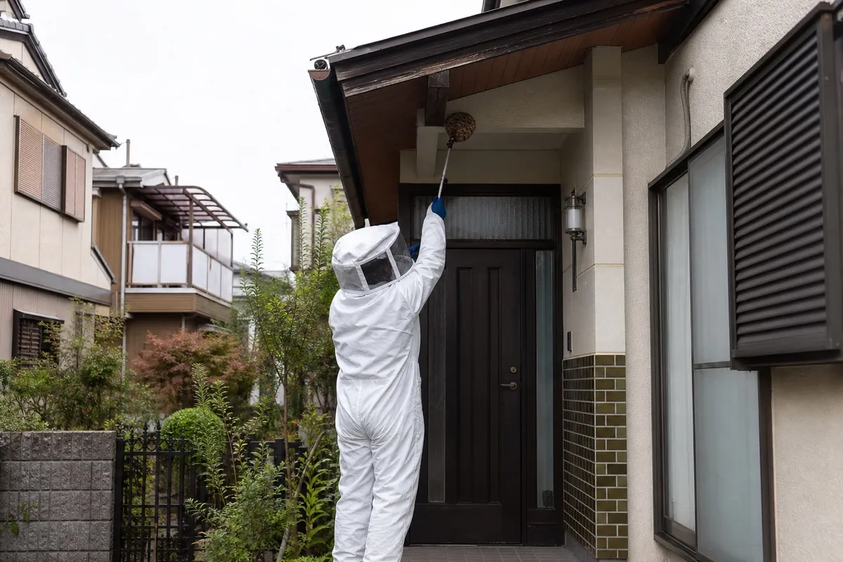 名古屋市昭和区御器所の住宅街でスズメバチ駆除作業中