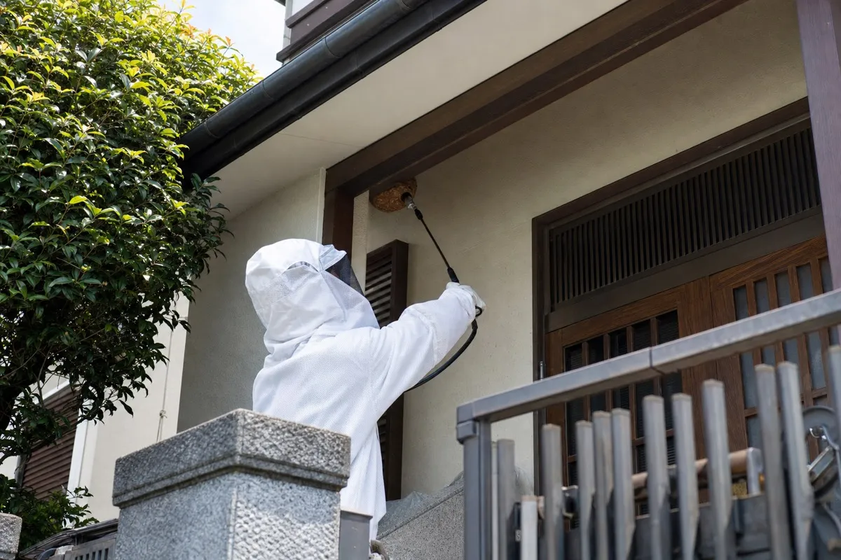 名古屋市昭和区御器所の住宅街でキイロスズメバチ駆除作業中
