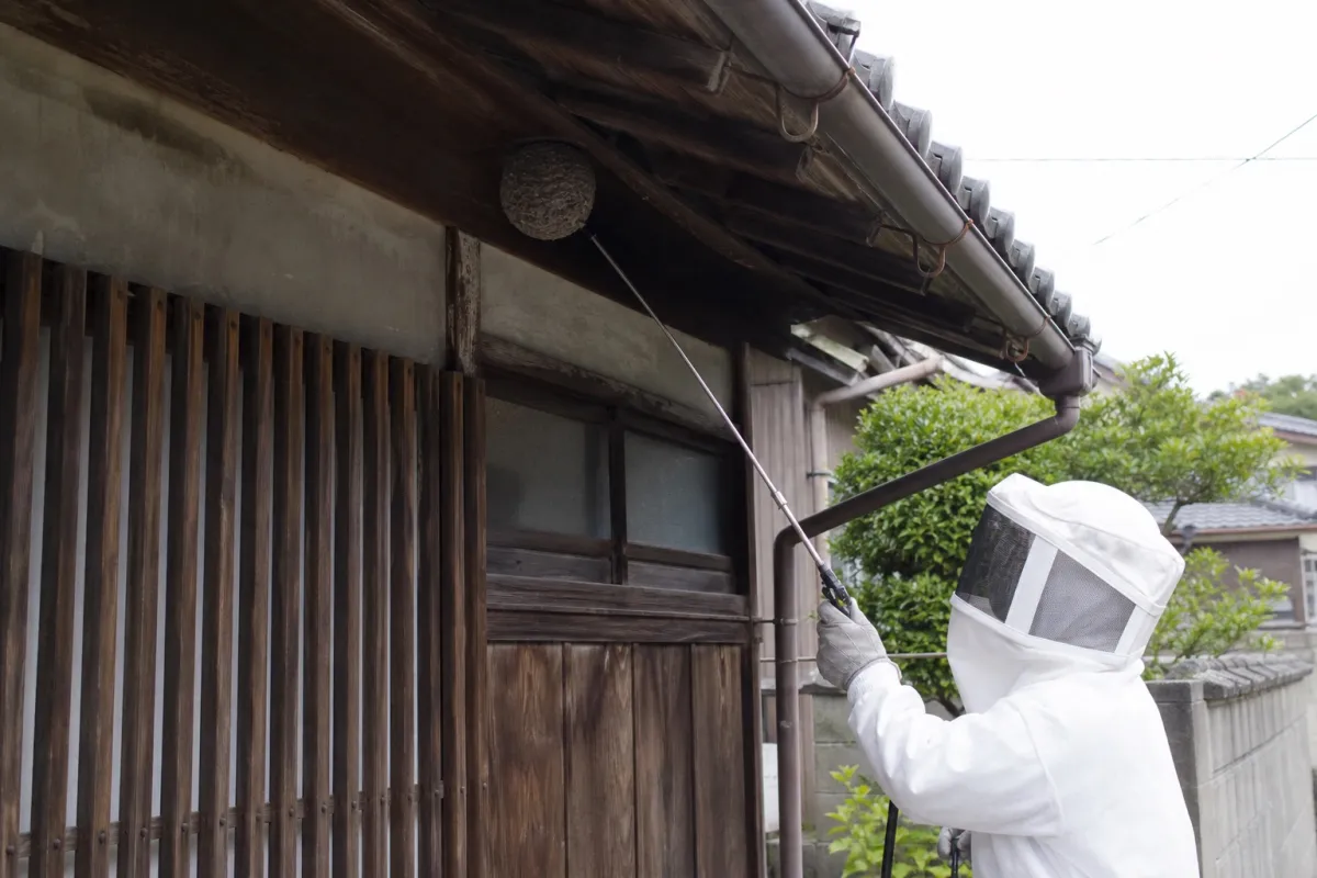 名古屋市昭和区白金のスズメバチ駆除作業中