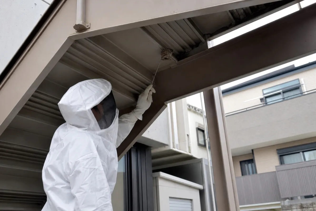 名古屋市昭和区前山町のアシナガバチ駆除作業中