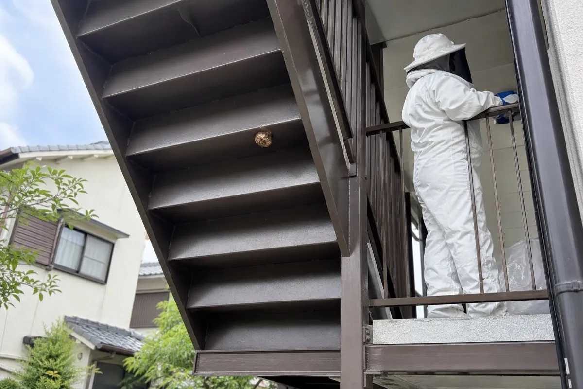 名古屋市天白区一つ山のアパートでアシナガバチ駆除作業中
