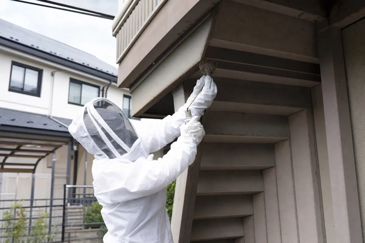 名古屋市天白区御幸山のアシナガバチ駆除作業中