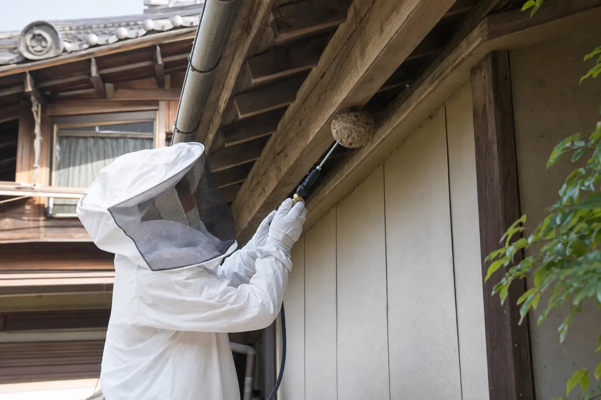 名古屋市守山区小幡のスズメバチ駆除作業中