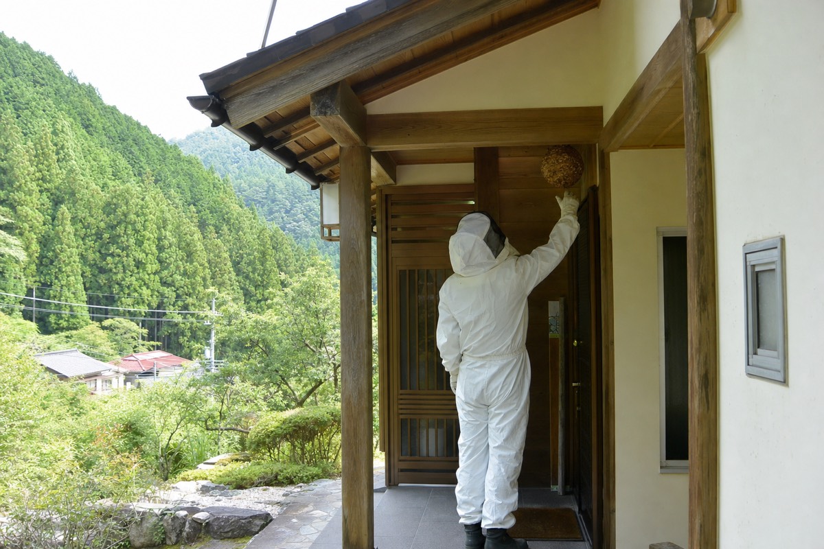 中津川市付知町の一軒家軒下でスズメバチ駆除作業中
