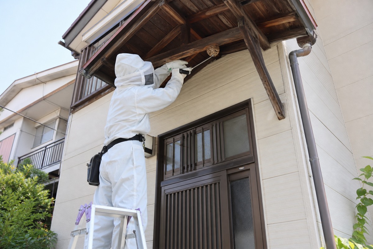 日進市五色園の賃貸戸建でアシナガバチ駆除作業中