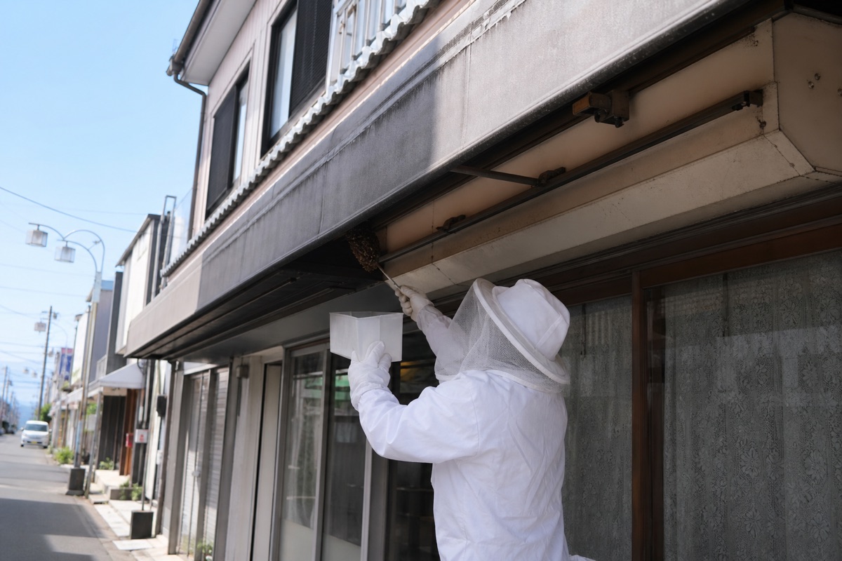 大府市共和町の商店街店舗併用住宅でミツバチ駆除作業中