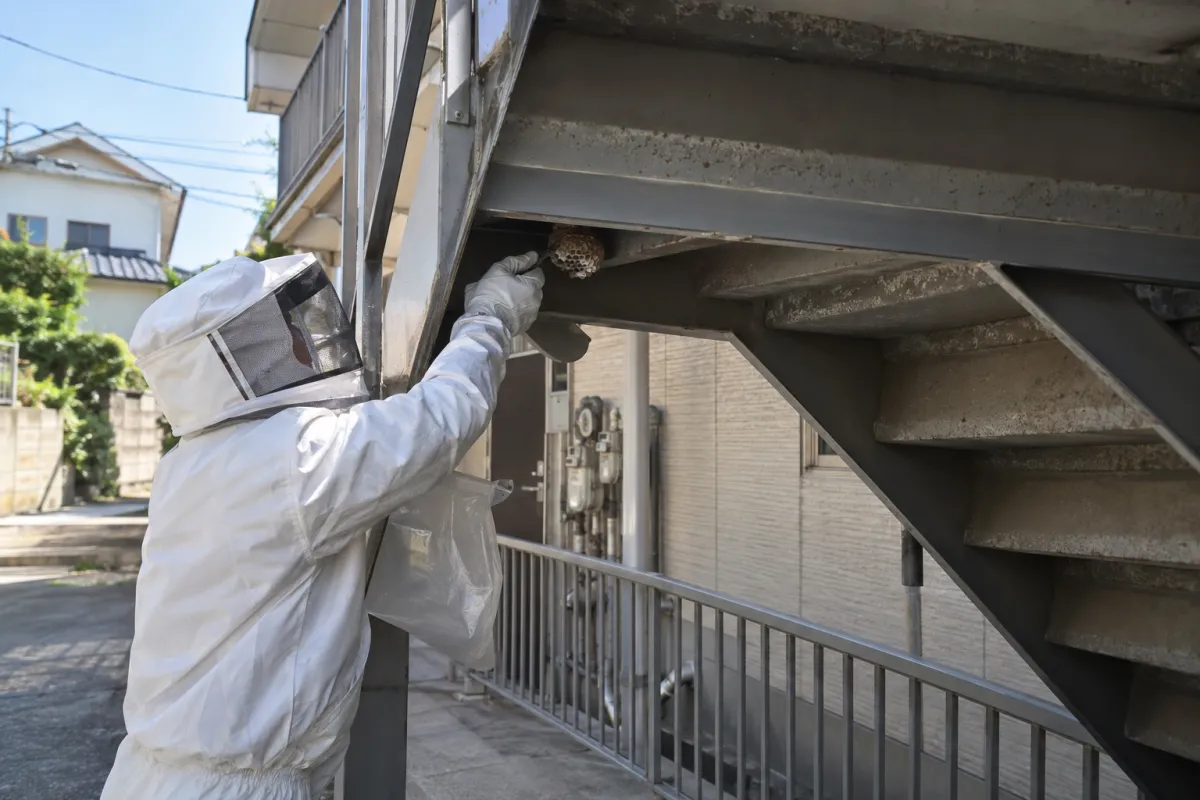 大府市一屋町の賃貸アパートでアシナガバチ駆除作業中