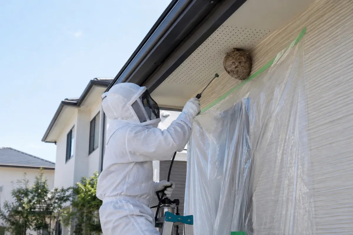 岡崎市大平町の新築一戸建てでキイロスズメバチ駆除作業中