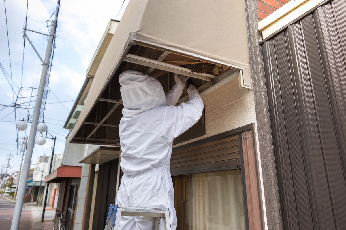 尾張旭市印場元町の商店街店舗併用住宅でミツバチ駆除作業中