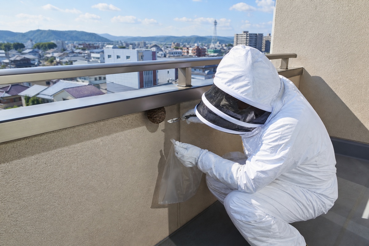 関市本町の関鍛冶伝承館近隣マンションでスズメバチ駆除作業中