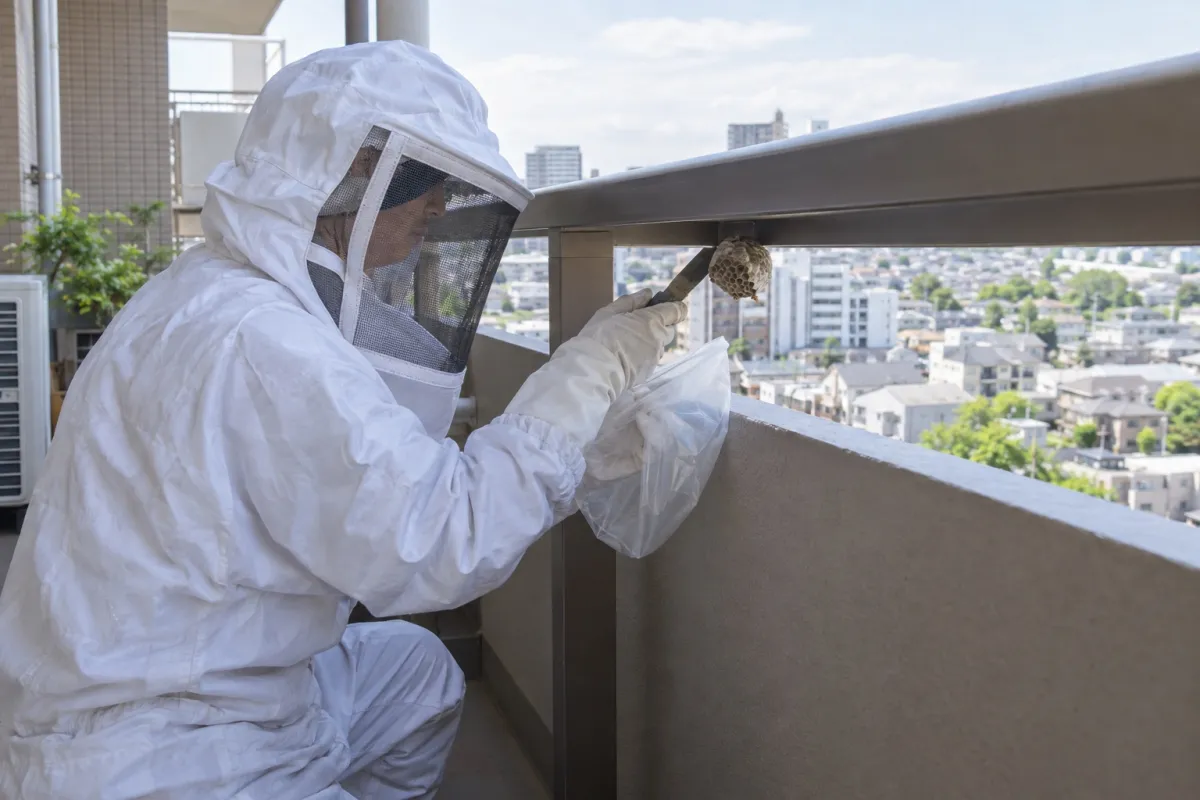 多治見市小泉町の分譲マンション7Fでアシナガバチ駆除作業中