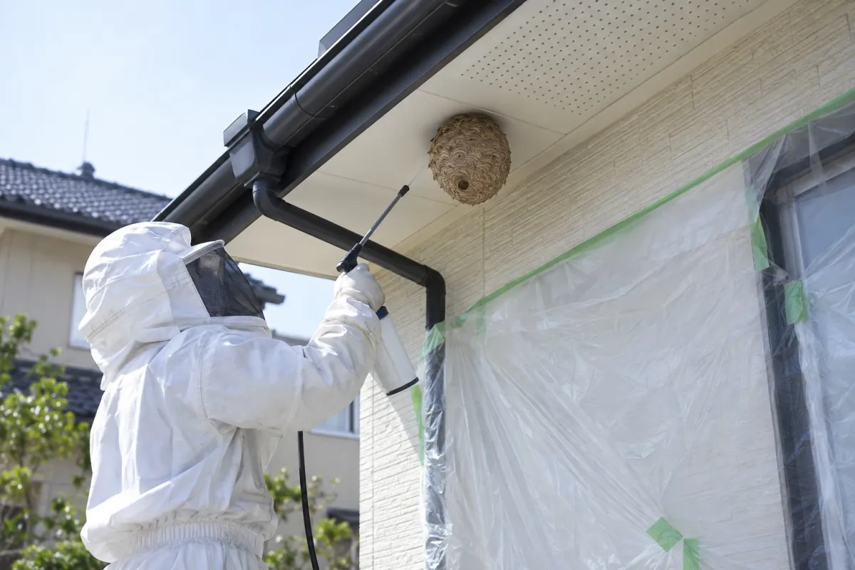 多治見市明和町の新築一戸建てでキイロスズメバチ駆除作業中