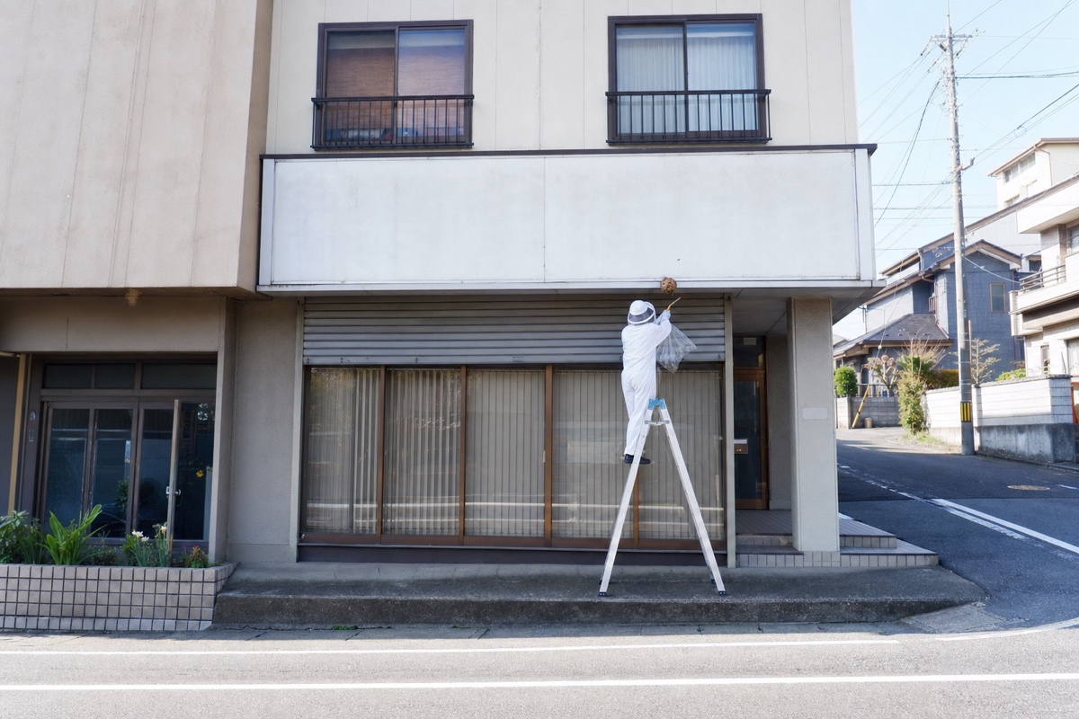 東海市中央町の銀行併用住宅でキイロスズメバチ駆除作業中