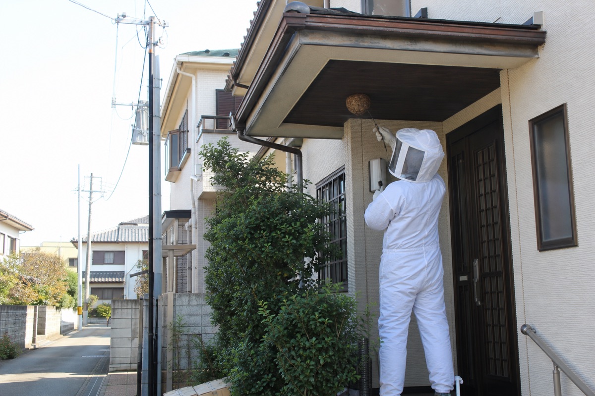 東海市中ノ池の住宅街でスズメバチ駆除作業中