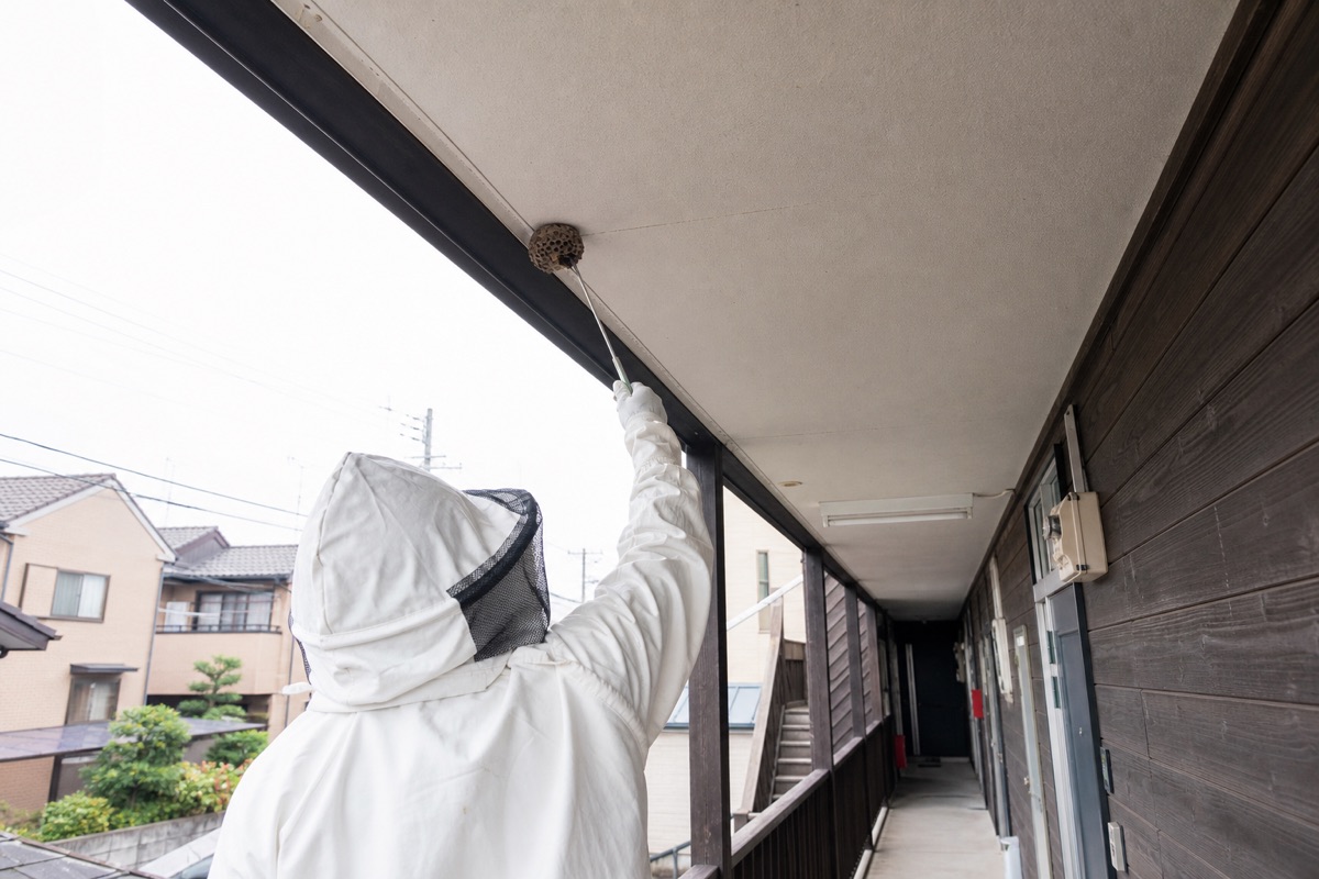 豊明市前後町のアパート共用部でアシナガバチ駆除作業中