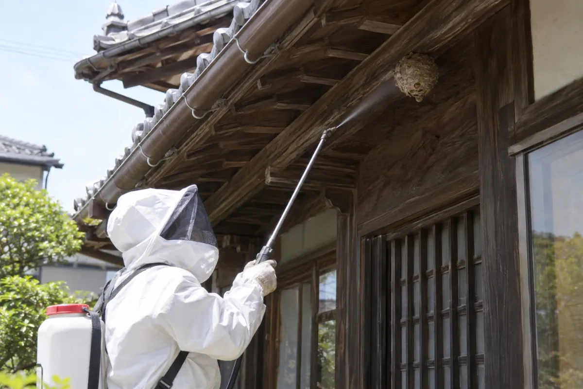 豊川市豊川町の木造一戸建てでスズメバチ駆除作業中