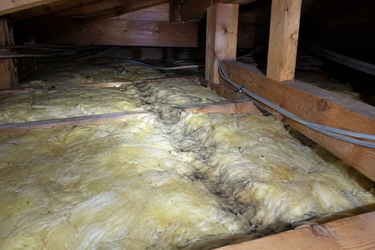 屋根裏の断熱材にネズミが繰り返し通ってできた黒い通り道