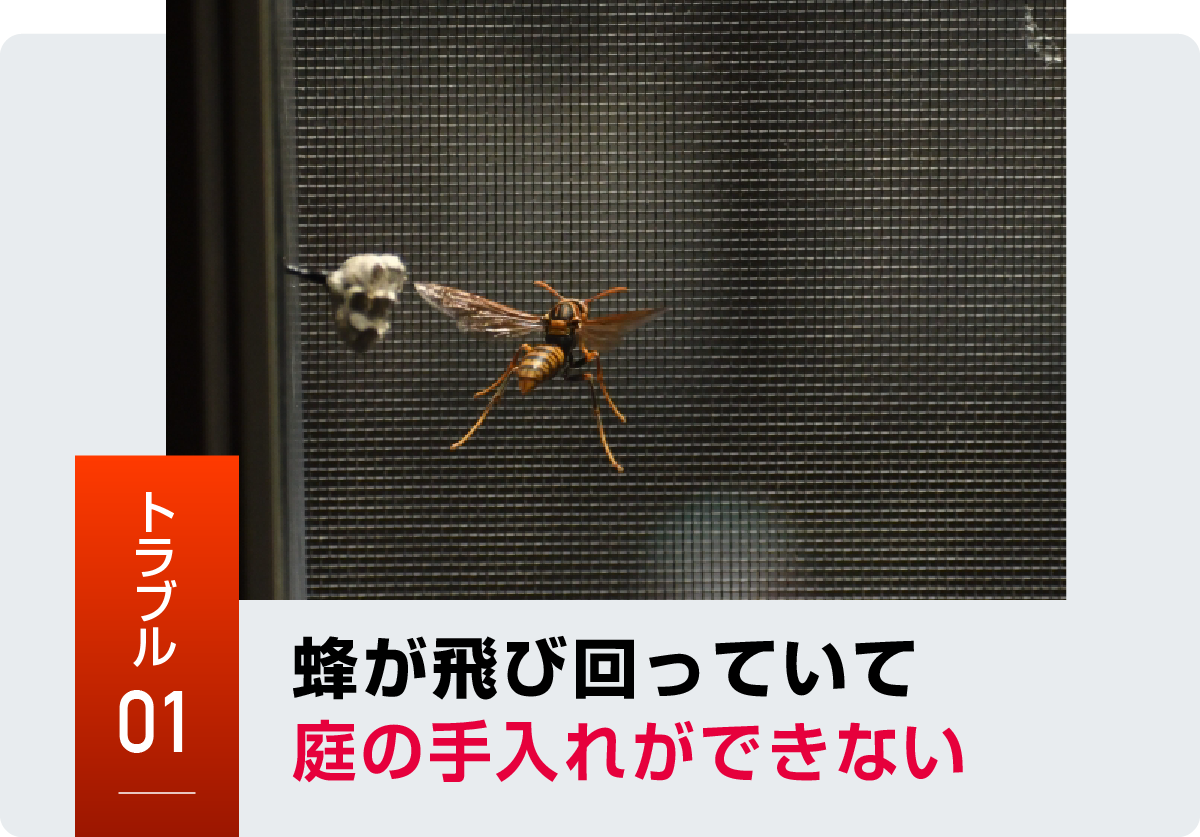 羽島市の蜂トラブル事例1