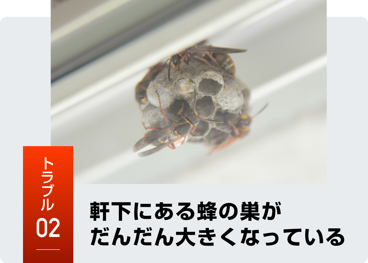 羽島市の蜂トラブル事例2
