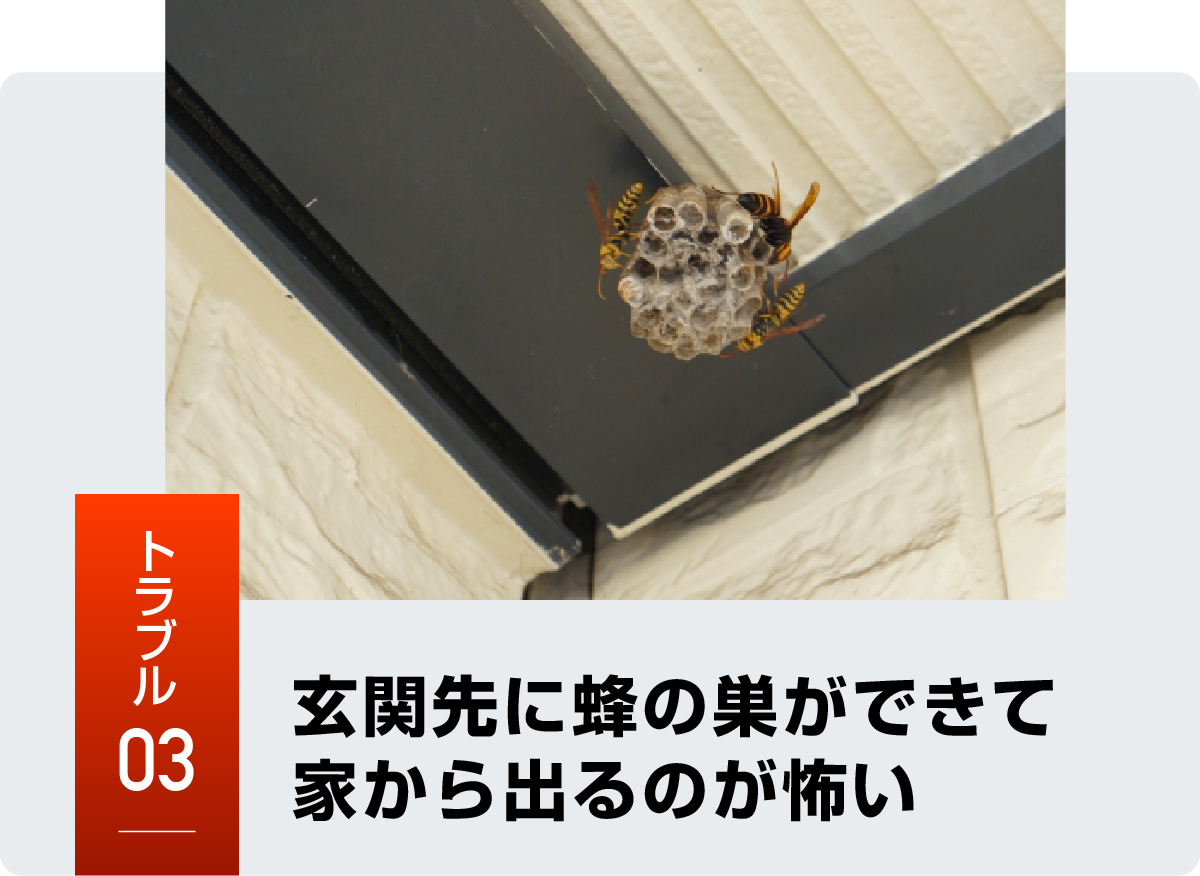 羽島市の蜂トラブル事例3