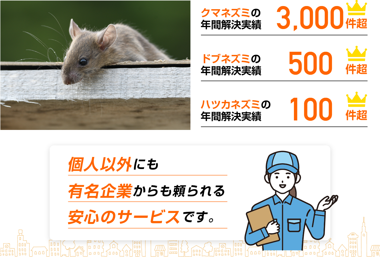 年間対応実績