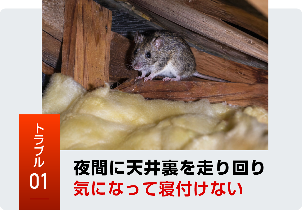 ネズミのトラブル事例1
