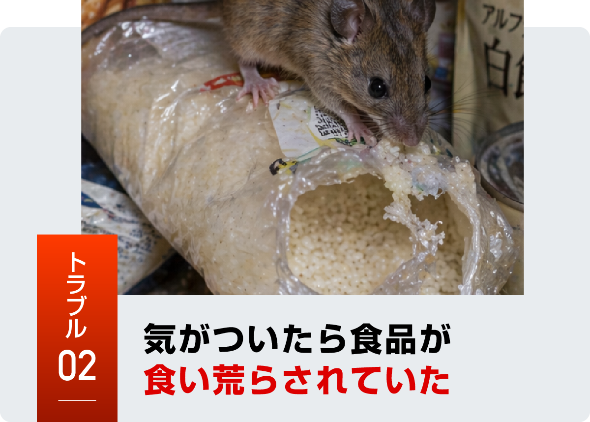 ネズミのトラブル事例2